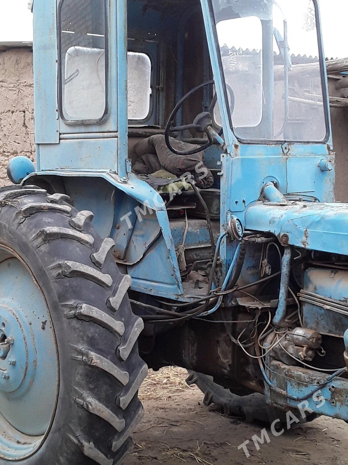 MTZ T-28 1980 - 35 000 TMT - Garabekewül - img 2