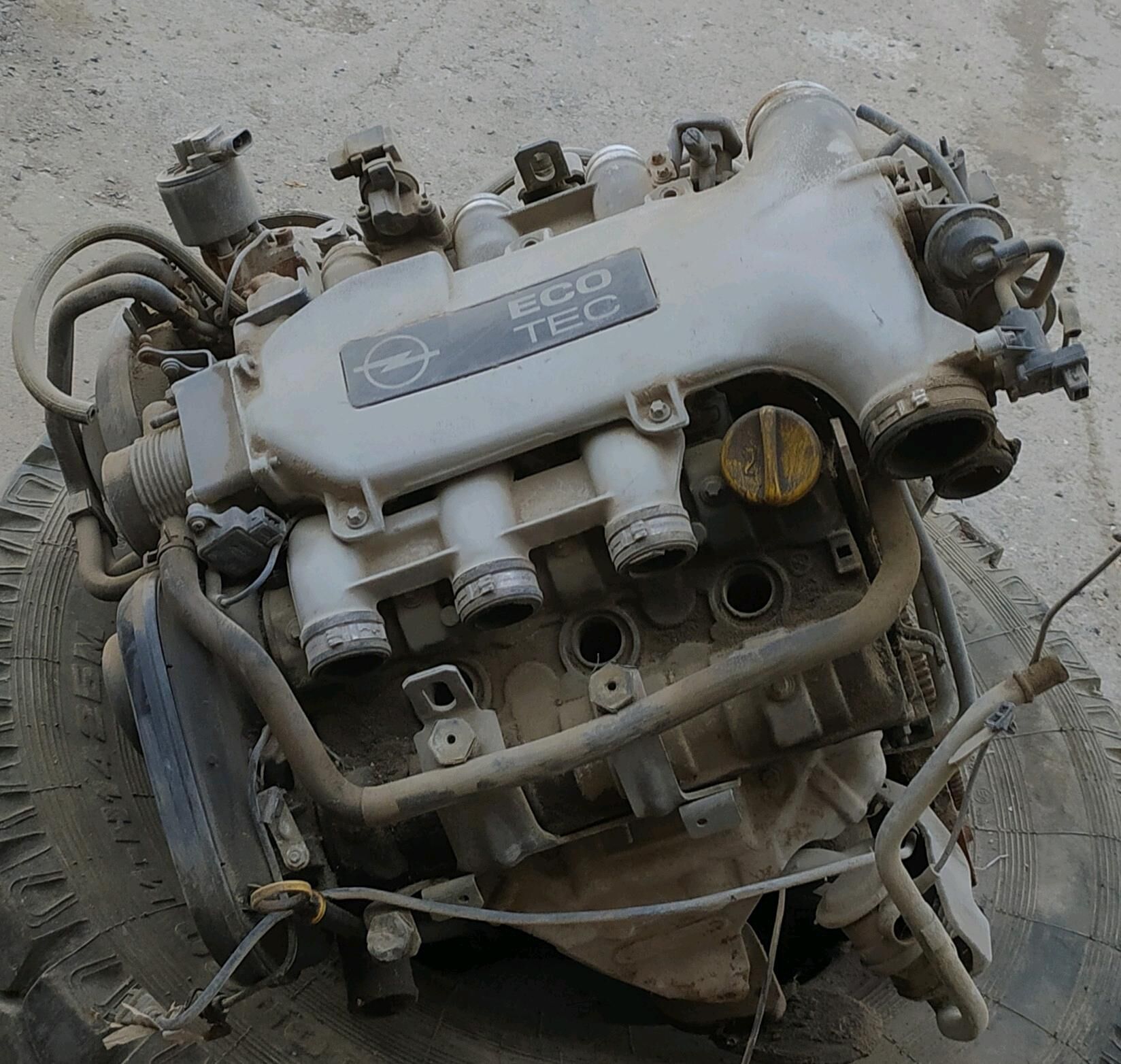 Opel vektra B 2.5 mator 2 500 TMT - Aşgabat - img 3