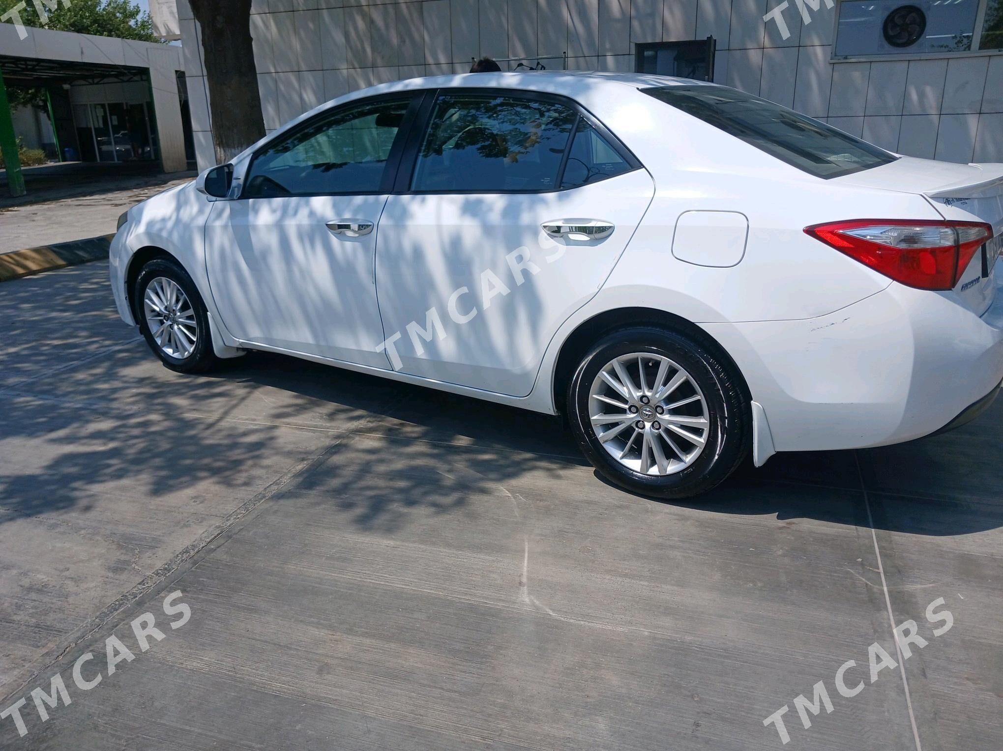 Toyota Corolla 2014 - 175 000 TMT - 15-й этап - img 2