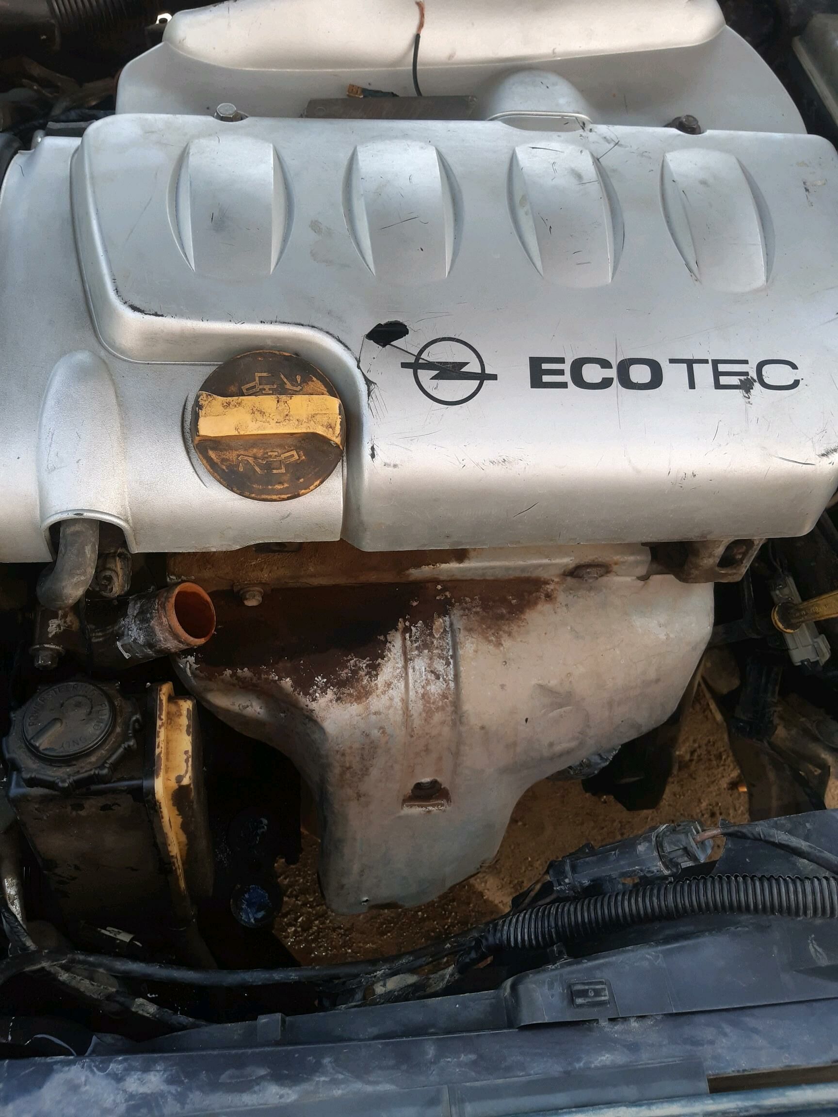 opel 18 yumurtka mator goly 3 200 TMT - Дашогуз - img 2