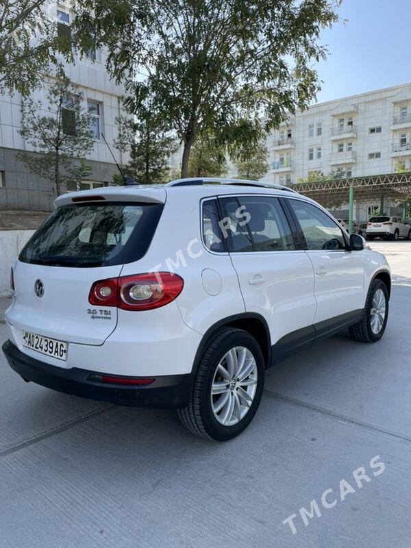 Volkswagen Tiguan 2010 - 161 000 TMT - Ашхабад - img 6