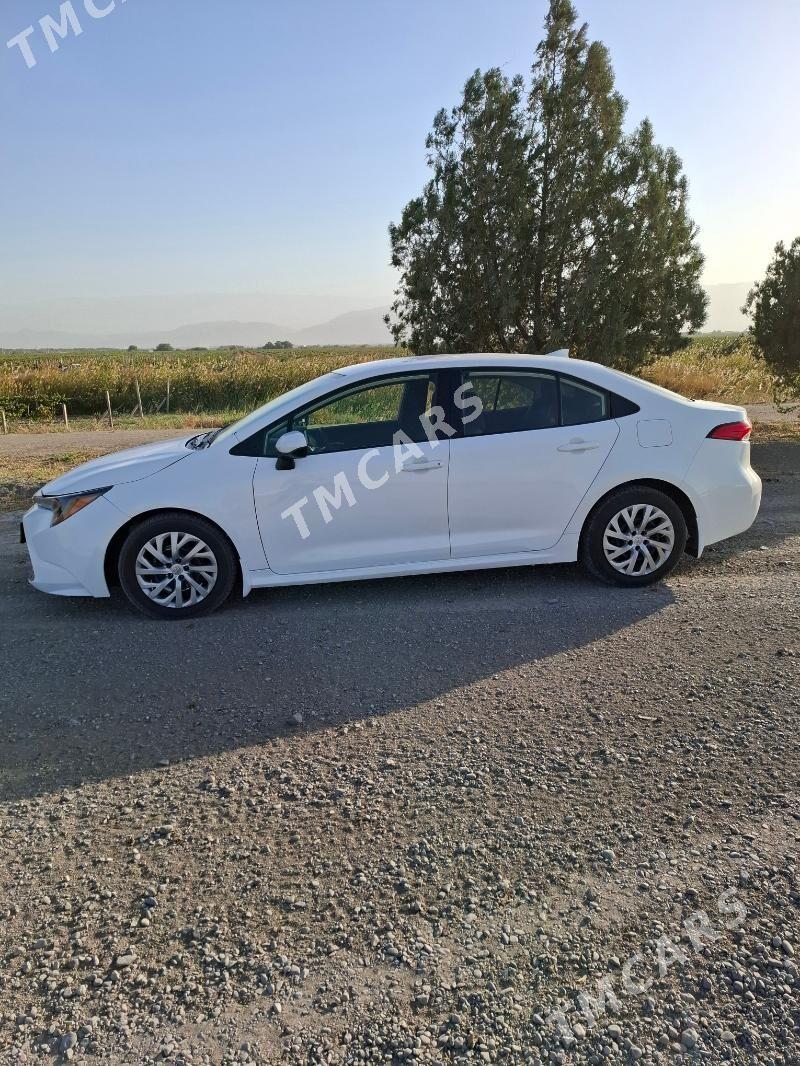 Toyota Corolla 2019 - 210 000 TMT - Gökdepe - img 3