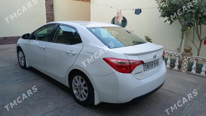 Toyota Corolla 2019 - 190 000 TMT - Hitrowka - img 3