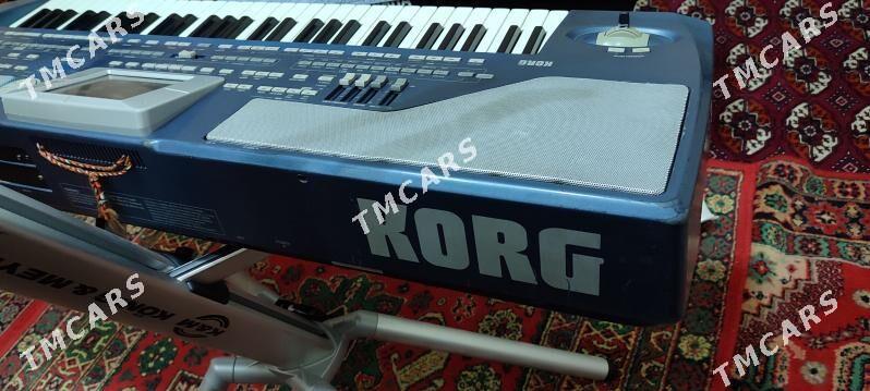 KORG  PA 800 - Гарабекевюл - img 3