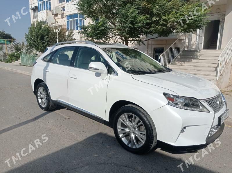 Lexus RX 350 2014 - 420 000 TMT - Türkmenabat - img 2