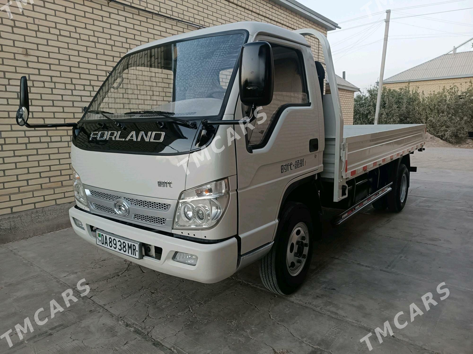 Forland H2 2014 - 135 000 TMT - Мары - img 10