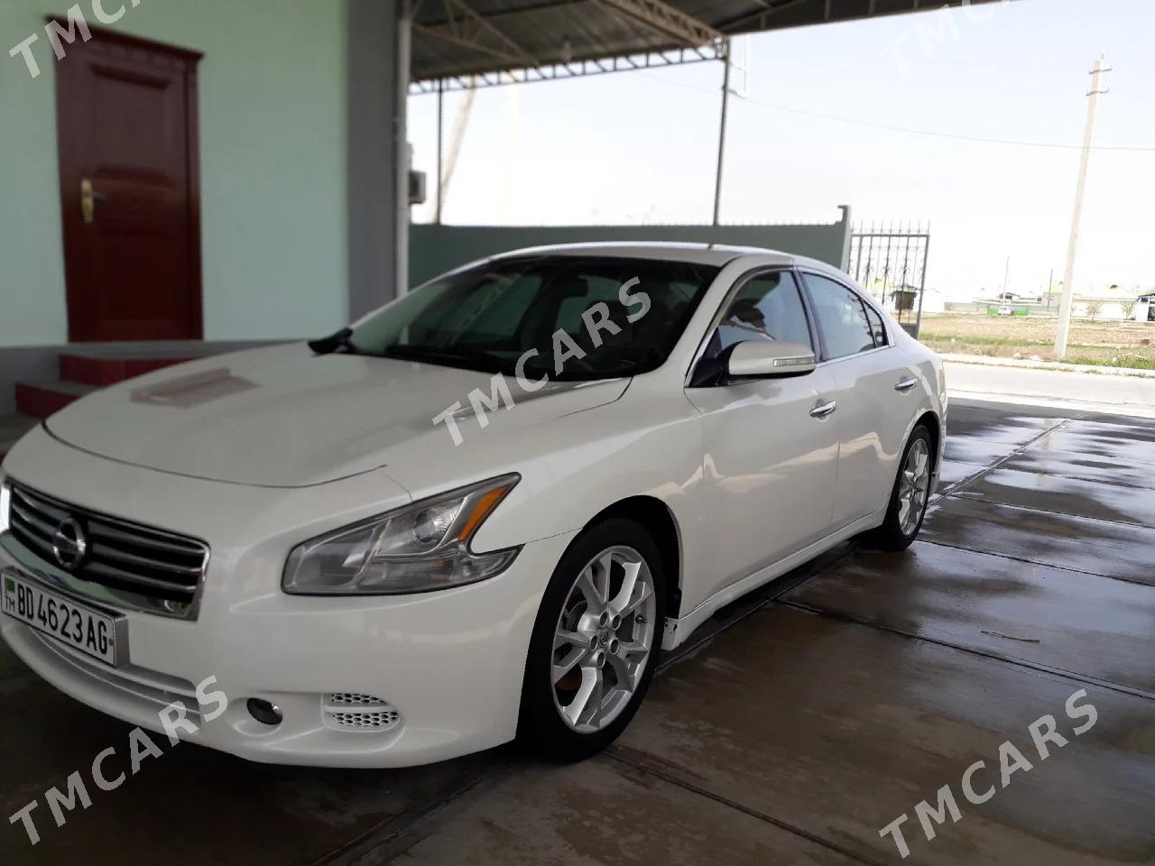 Nissan Maxima 2011 - 180 000 TMT - Арчабиль шаёлы - img 2