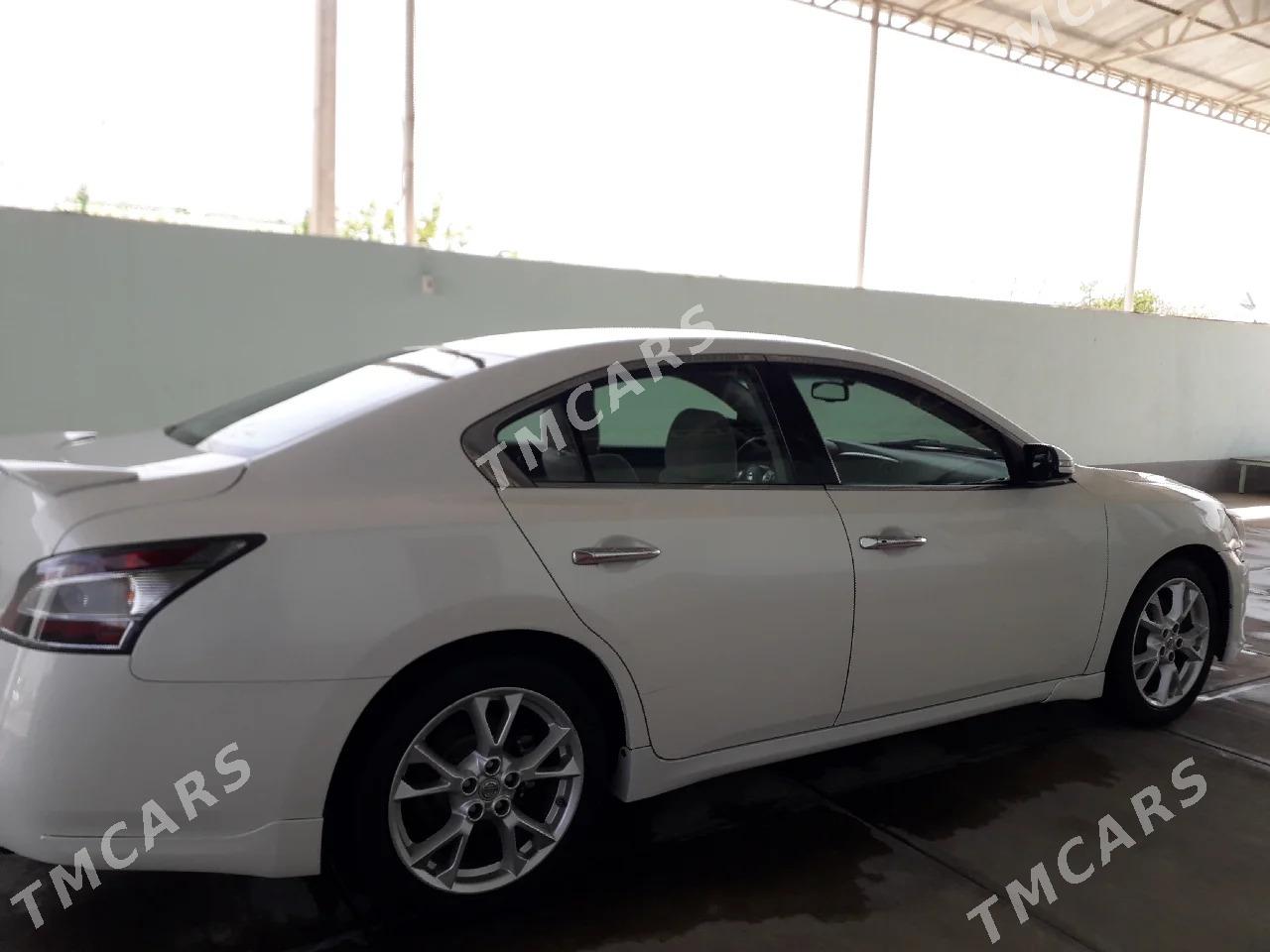 Nissan Maxima 2011 - 180 000 TMT - Арчабиль шаёлы - img 4