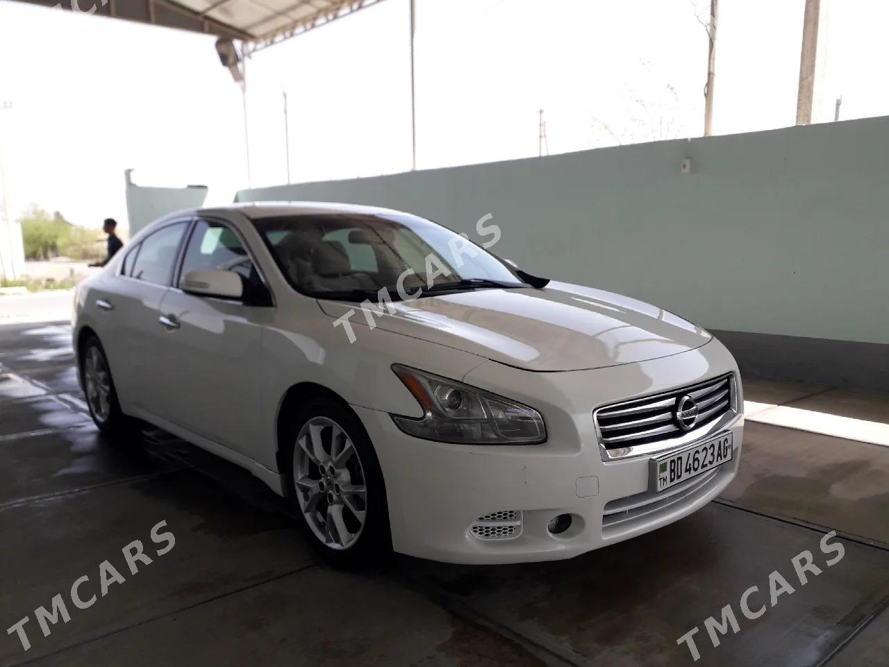 Nissan Maxima 2011 - 180 000 TMT - Арчабиль шаёлы - img 3