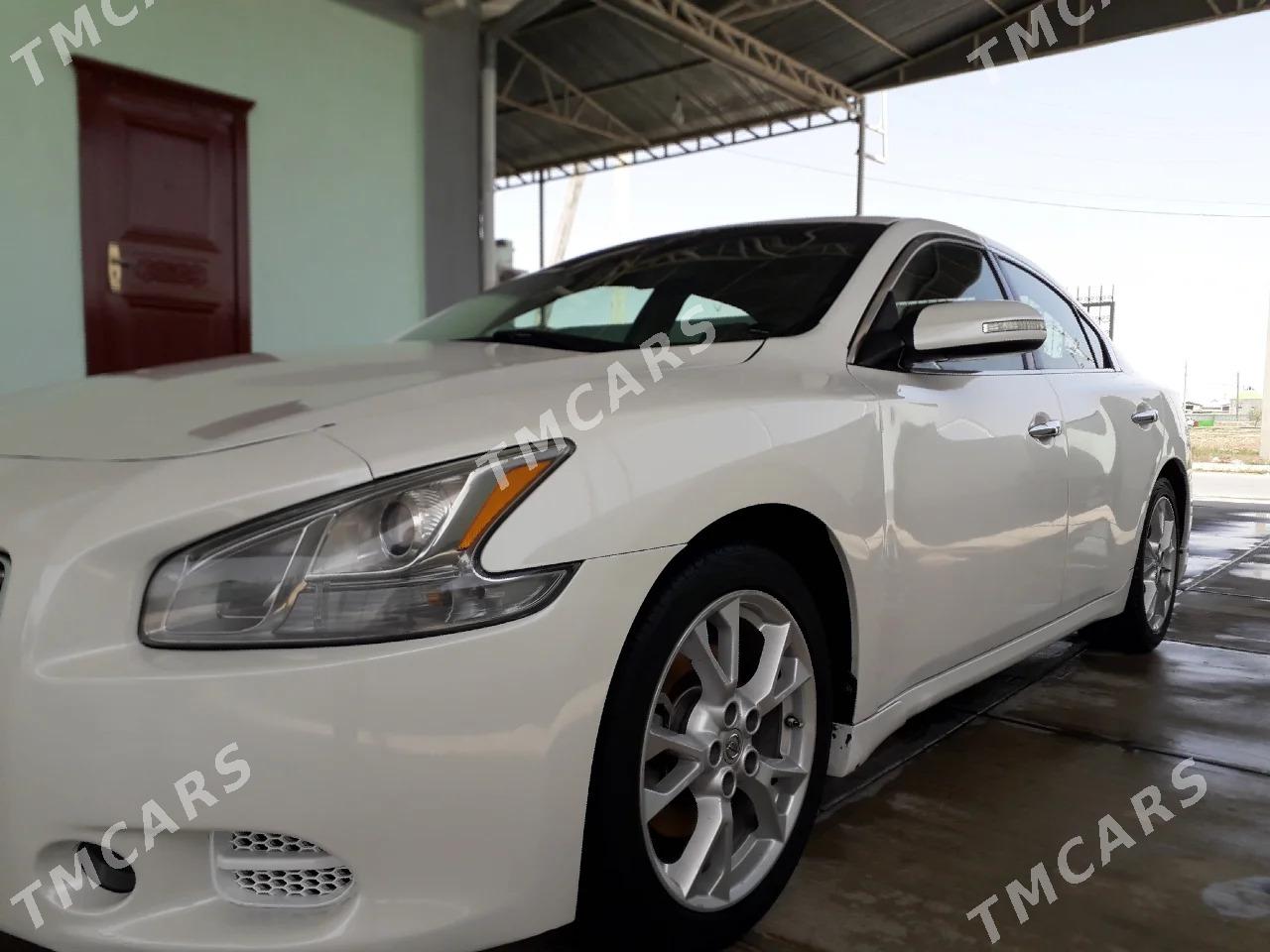 Nissan Maxima 2011 - 180 000 TMT - Arçabil şaýoly - img 5