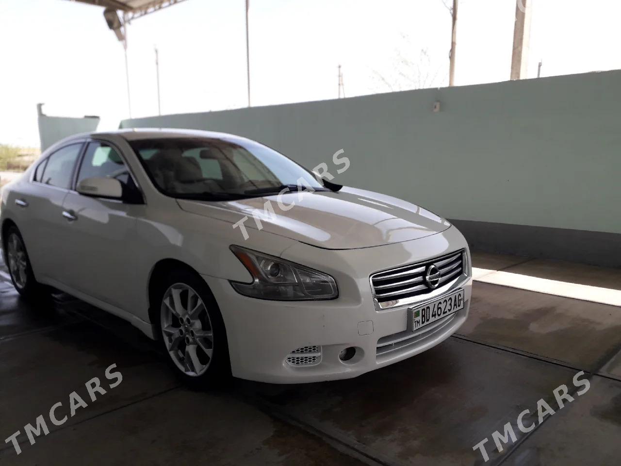 Nissan Maxima 2011 - 180 000 TMT - Арчабиль шаёлы - img 7