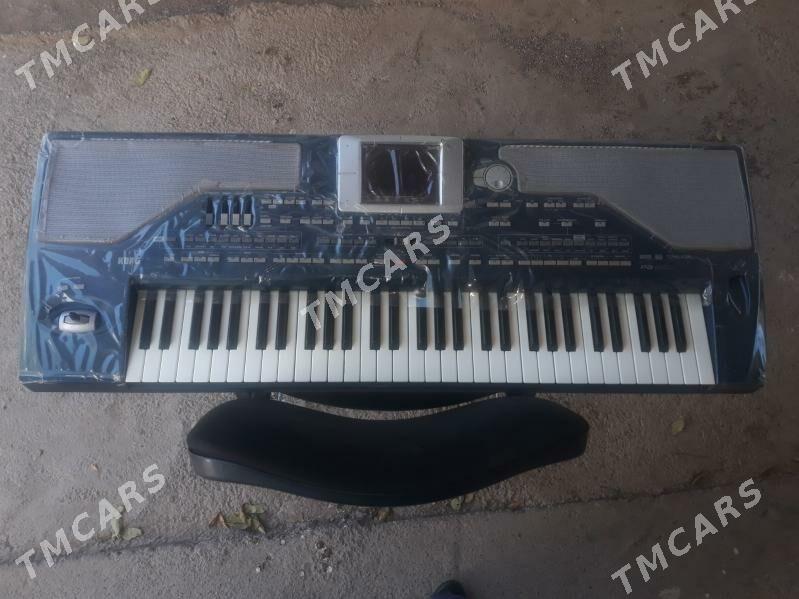 Korg pa-800 - Ашхабад - img 3