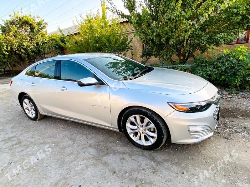 Chevrolet Malibu 2019 - 250 000 TMT - Туркменабат - img 4