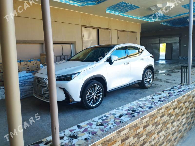 Lexus NX 350 2023 - 1 080 000 TMT - Türkmenabat - img 2