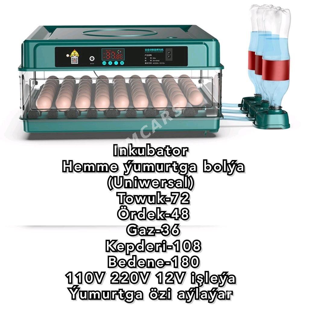 Инкубатор Jüýje Bedene Towuk - Aşgabat - img 5