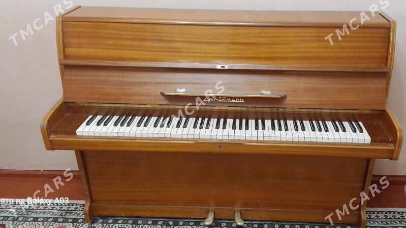 ZIMMERMANN Pianino - Мир 4 - img 3