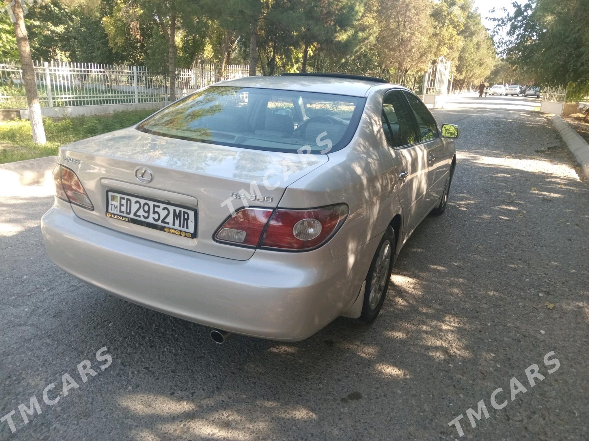 Lexus ES 300 2002 - 145 000 TMT - Baýramaly - img 10