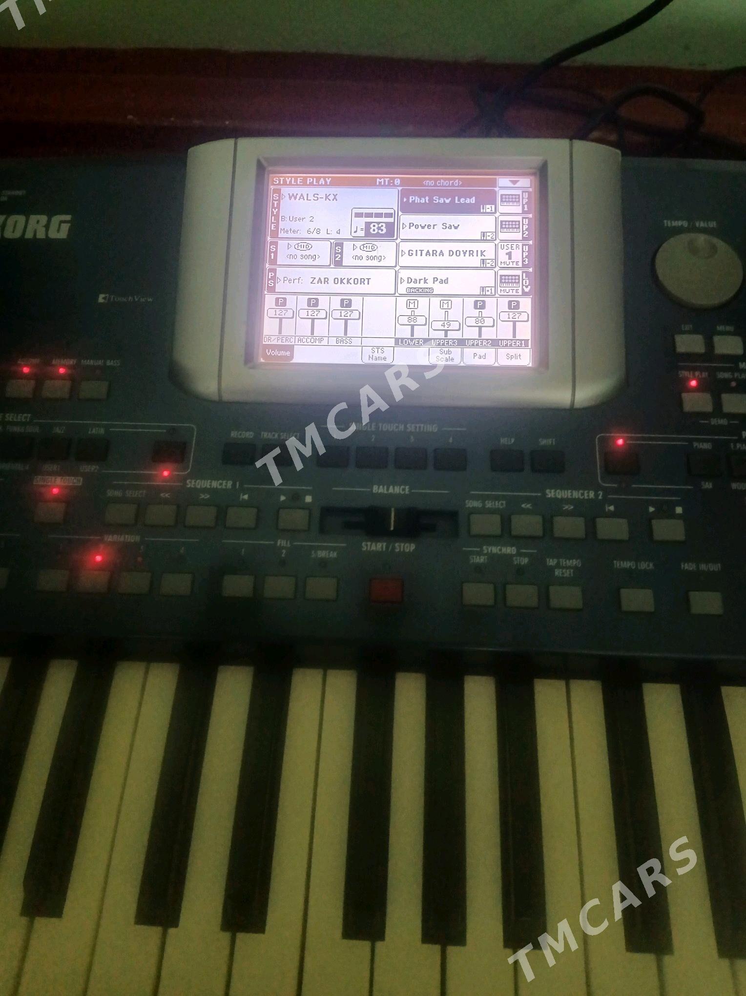 Korg pa500 - Mary - img 2