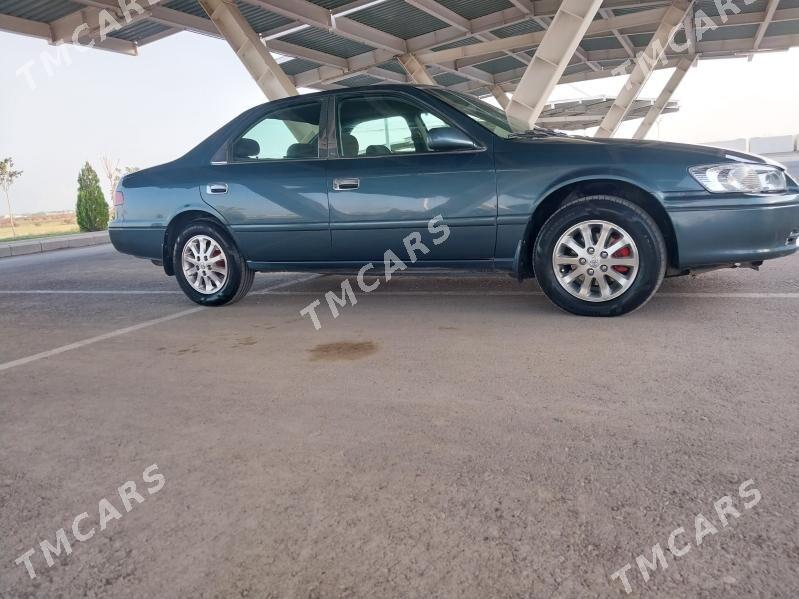 Toyota Camry 2001 - 140 000 TMT - Türkmenabat - img 2