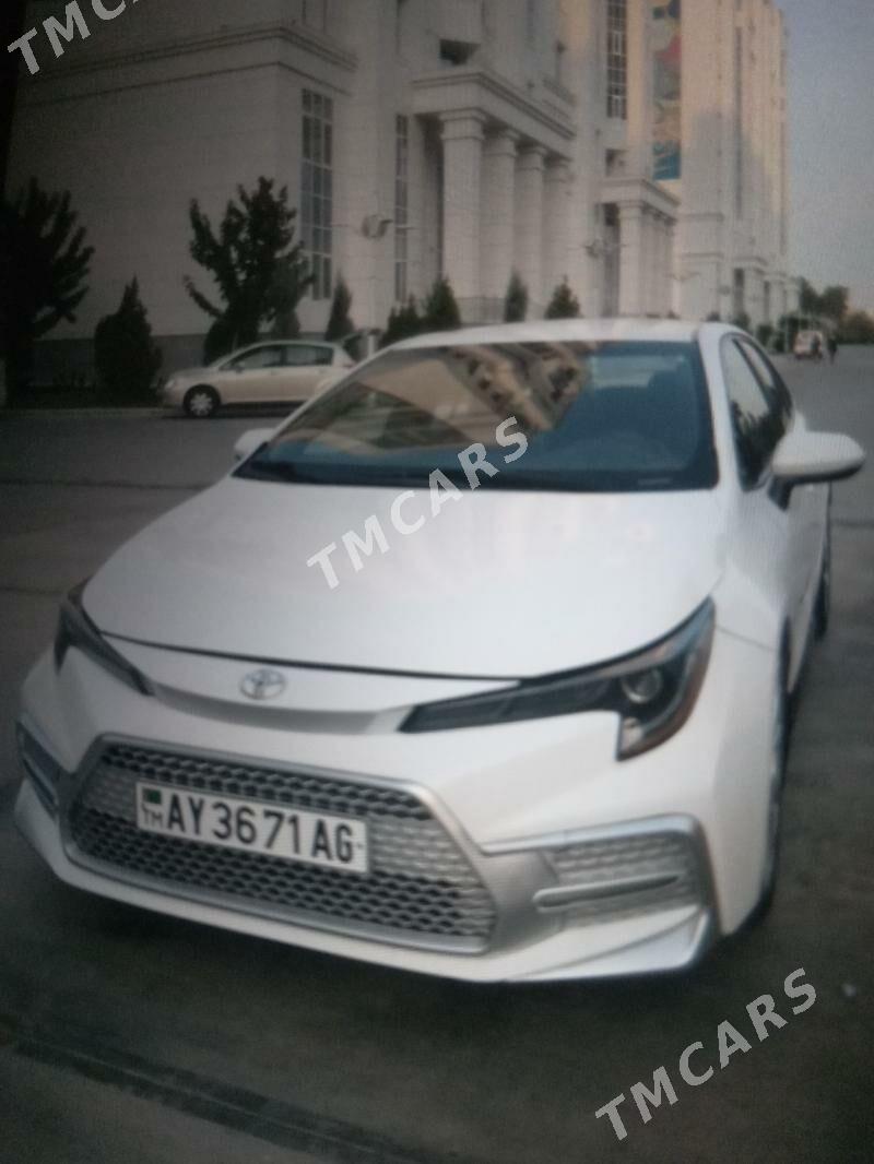 Toyota Corolla 2019 - 230 000 TMT - 16-й этап - img 4