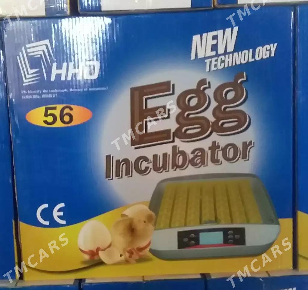 Inkubator 56 egg - Türkmenabat - img 2