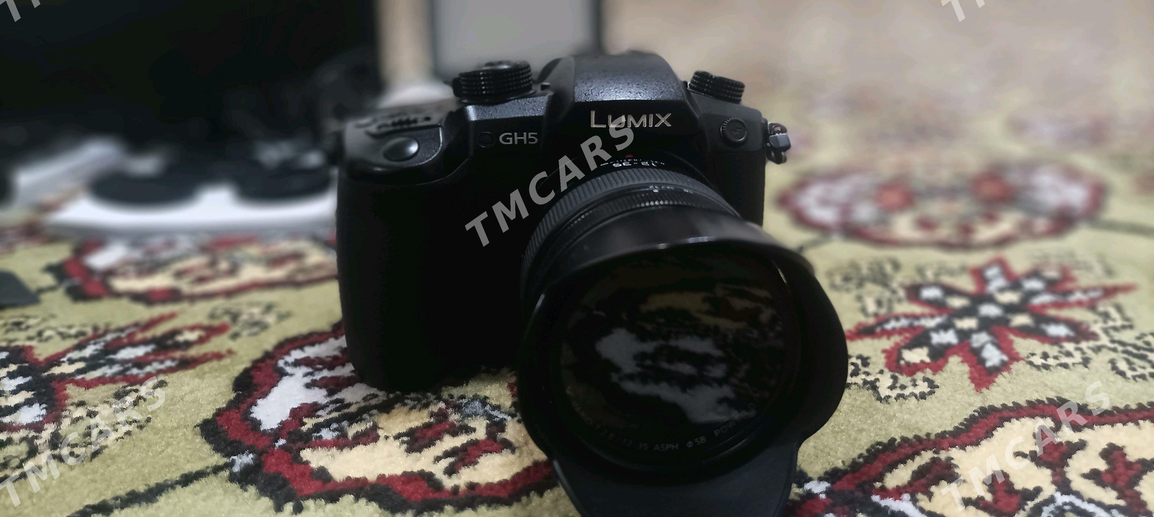 Lumix GH5 Ronin RSC 2 - Мары - img 2