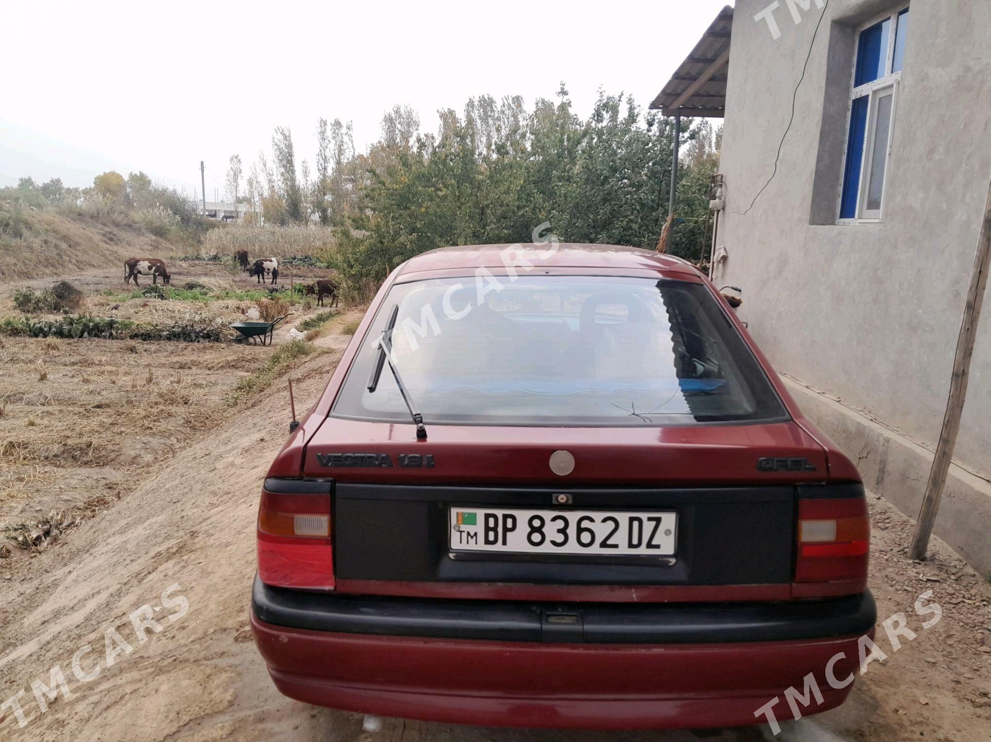 Opel Vectra 1994 - 30 000 TMT - Gubadag - img 5