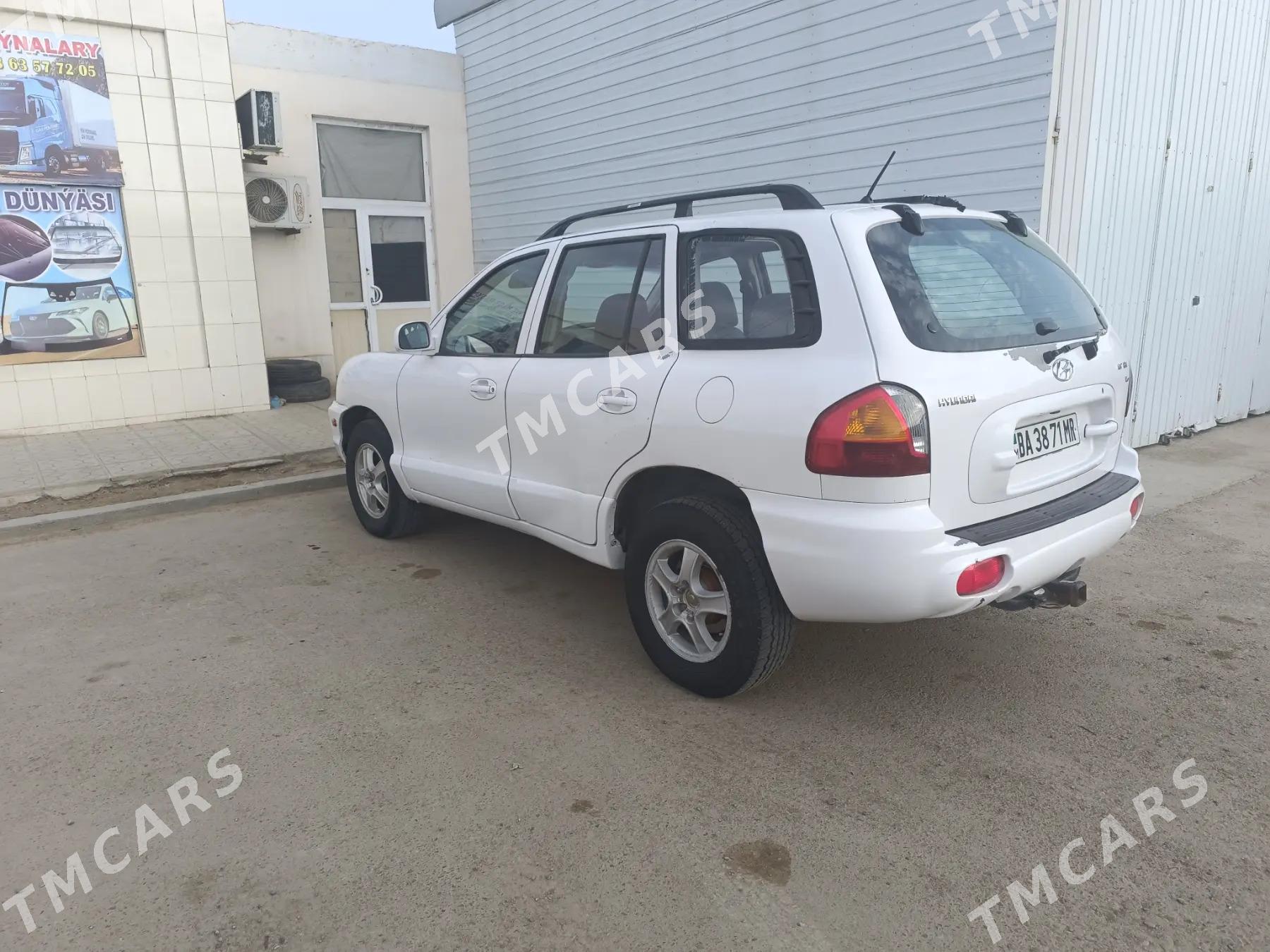 Hyundai Santa Fe 2004 - 60 000 TMT - Мургап - img 2