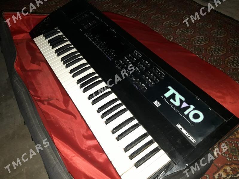 Ensonic ts 10 - Дянев - img 3