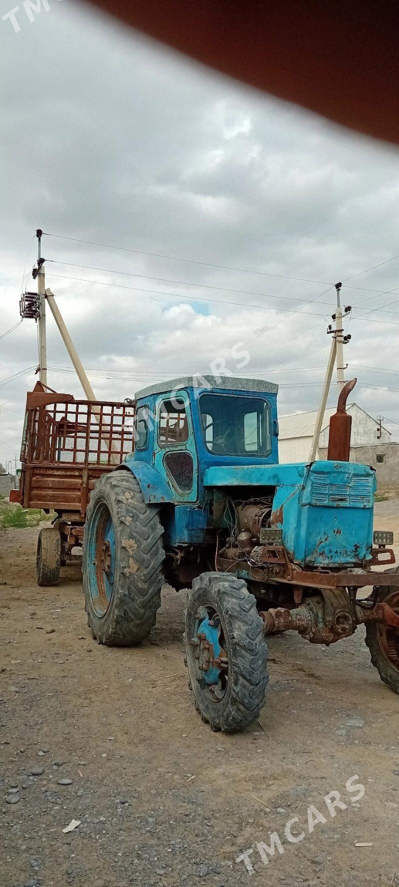 MTZ T-28 2024 - 31 000 TMT - Бузмеин - img 2