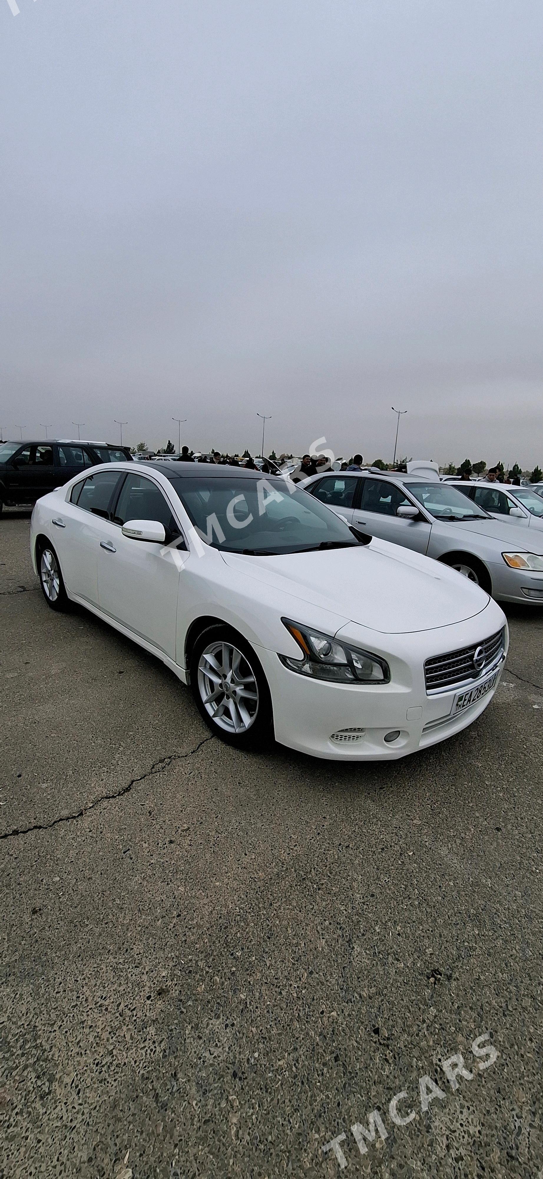 Nissan Maxima 2010 - 165 000 TMT - Туркменабат - img 2