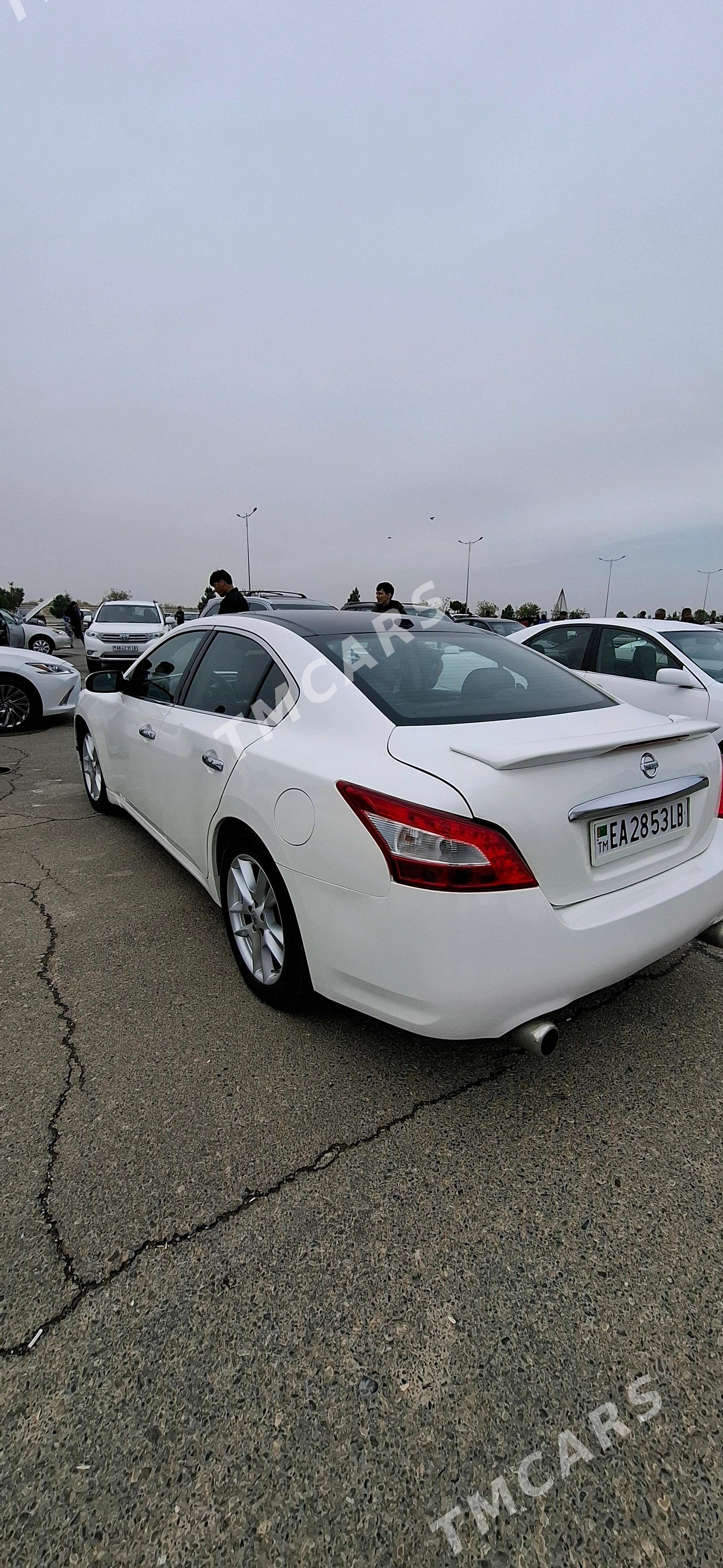 Nissan Maxima 2010 - 165 000 TMT - Türkmenabat - img 3