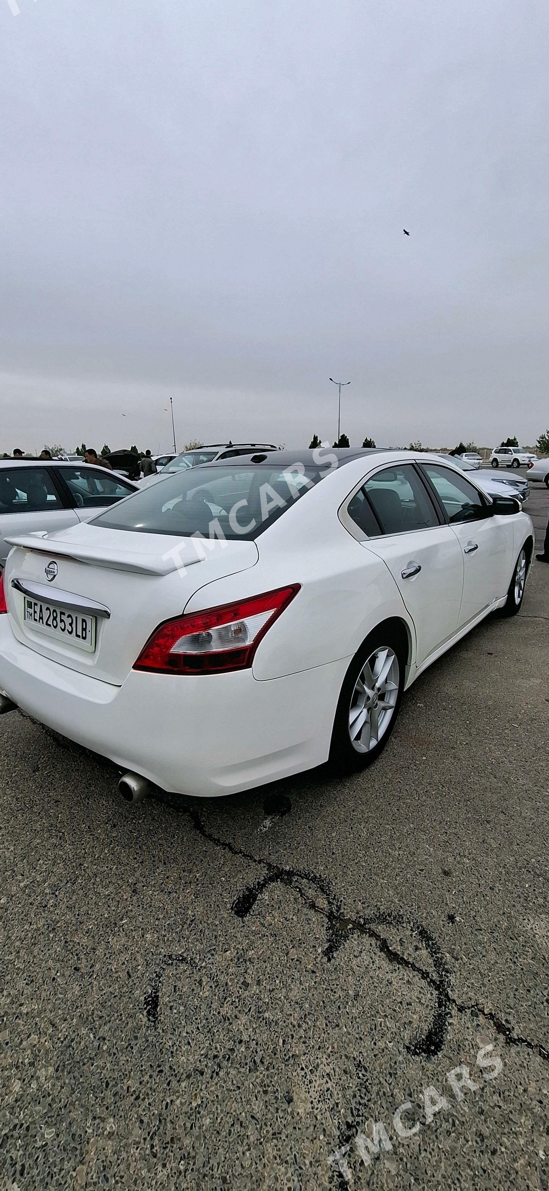 Nissan Maxima 2010 - 165 000 TMT - Туркменабат - img 4