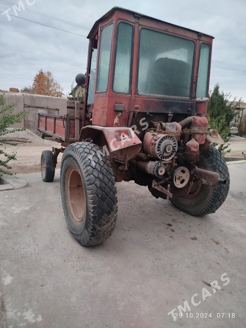 MTZ T-28 1990 - 13 000 TMT - Gurbansoltan Eje - img 2