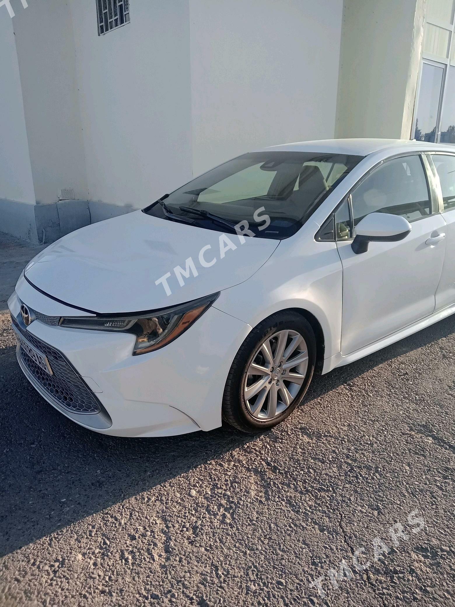 Toyota Corolla 2019 - 182 000 TMT - Aşgabat - img 3