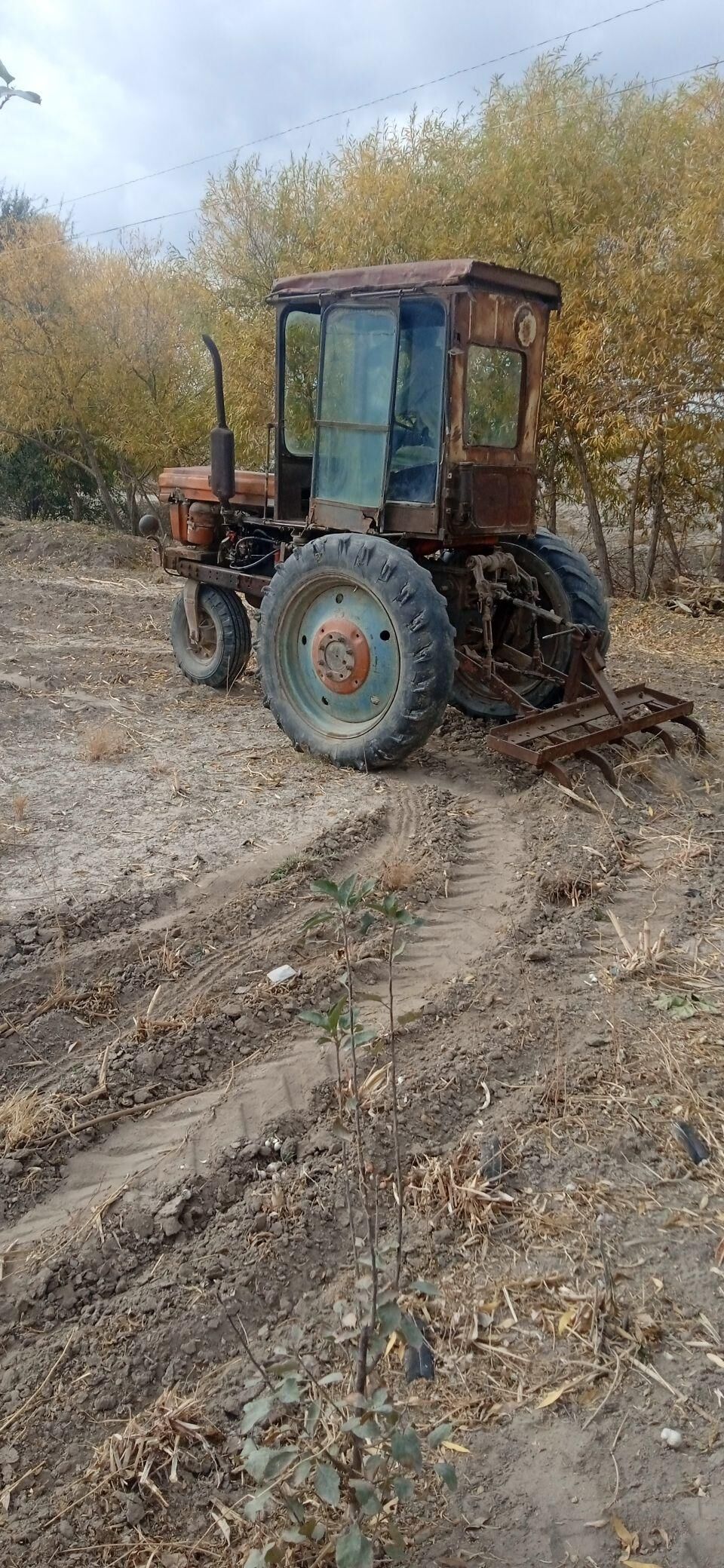 MTZ T-28 1992 - 18 000 TMT - Boldumsaz - img 5