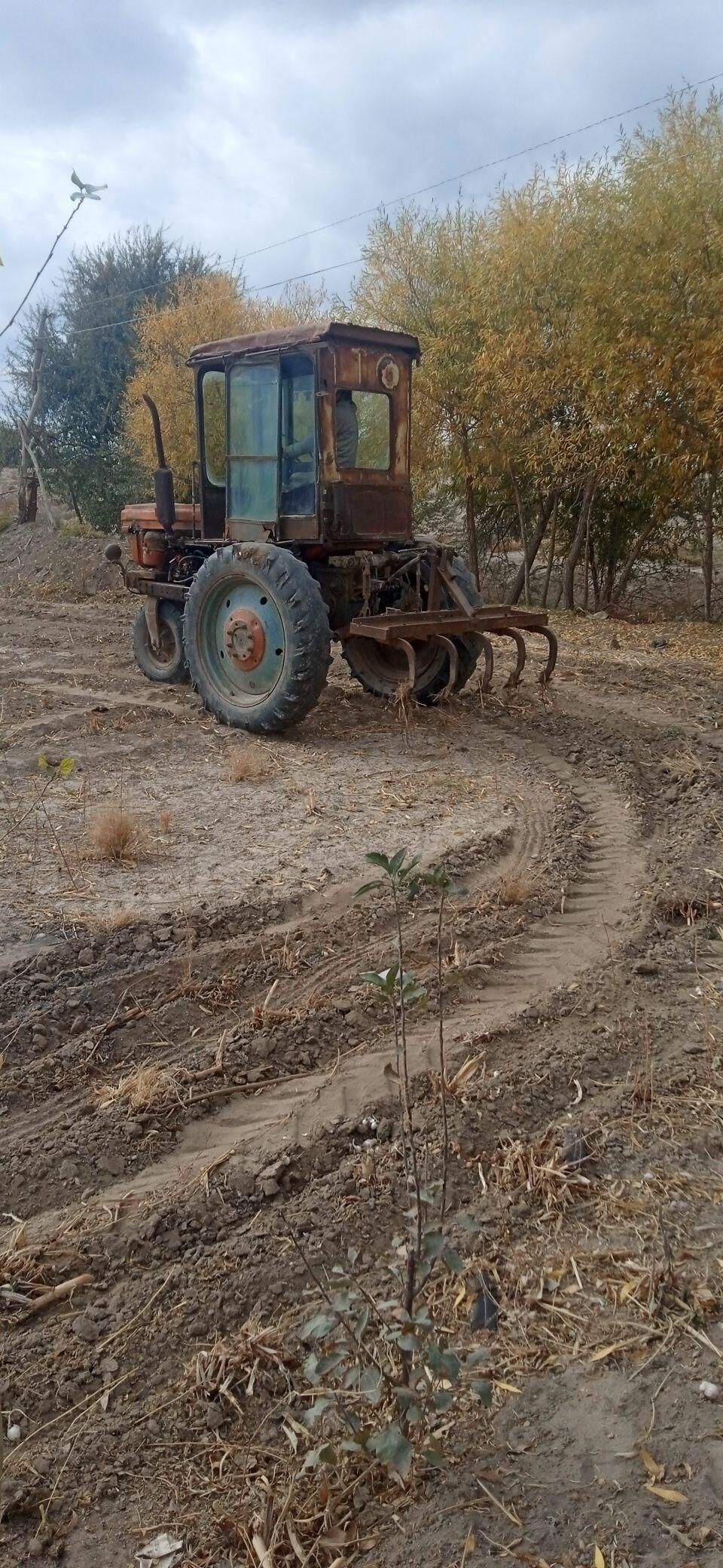 MTZ T-28 1992 - 18 000 TMT - Boldumsaz - img 6