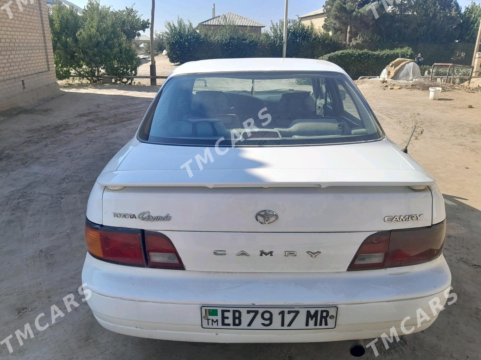 Toyota Camry 1995 - 53 000 TMT - Sakarçäge - img 4