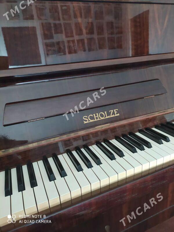 pianino scholze - Türkmenbaşy - img 2