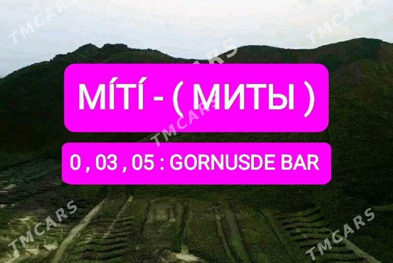 MITI GUM CAGE SEMENT GRAWY - Ашхабад - img 3