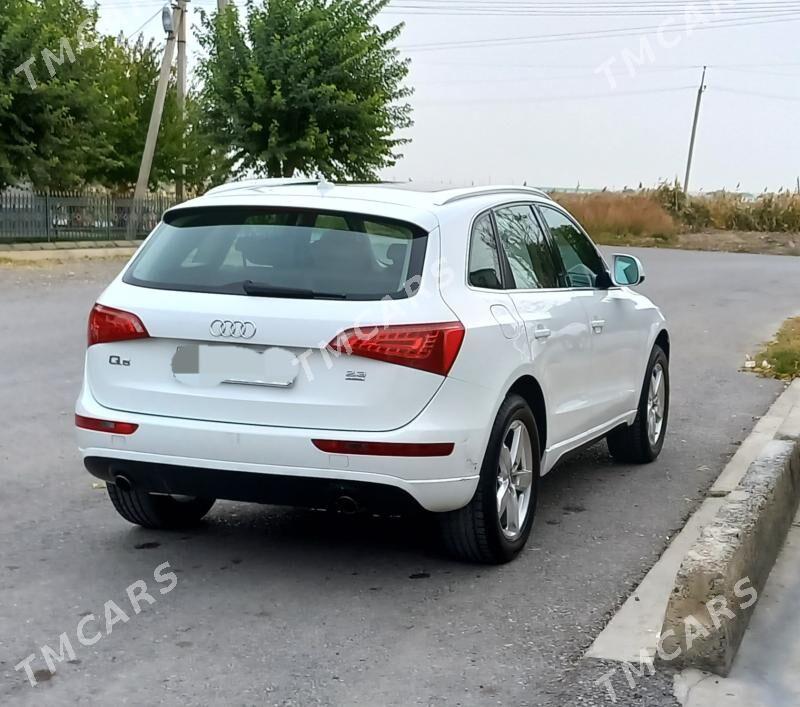 Audi Q5 2010 - 180 000 TMT - Ашхабад - img 3