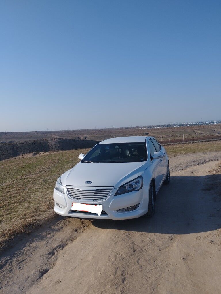 Kia Cadenza 2010 - 170 000 TMT - 14 этап - Элитки (Улица Совхозная) - img 3