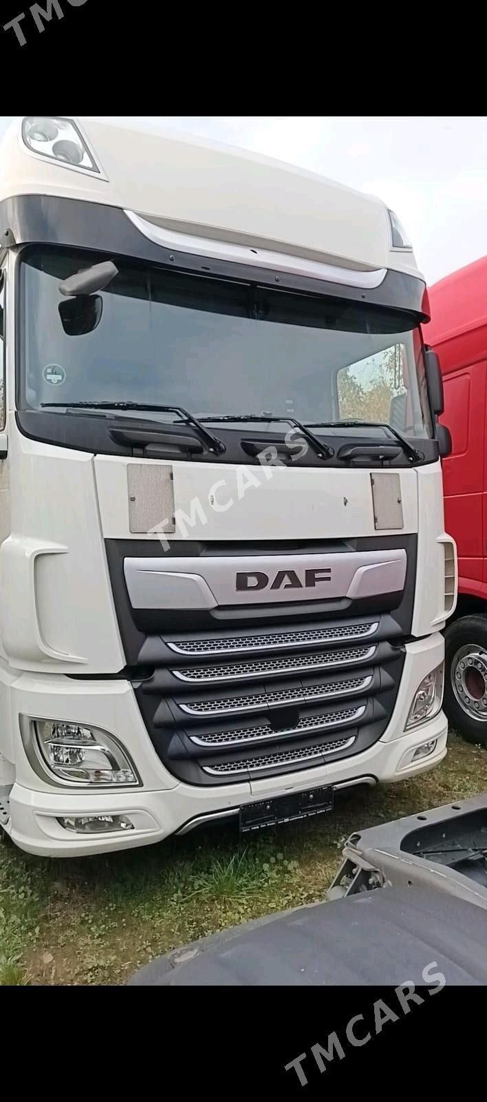 DAF 480 2019 - 720 000 TMT - Mary - img 5