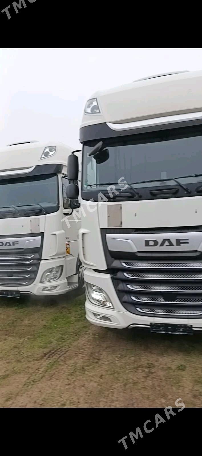 DAF 480 2019 - 720 000 TMT - Mary - img 4