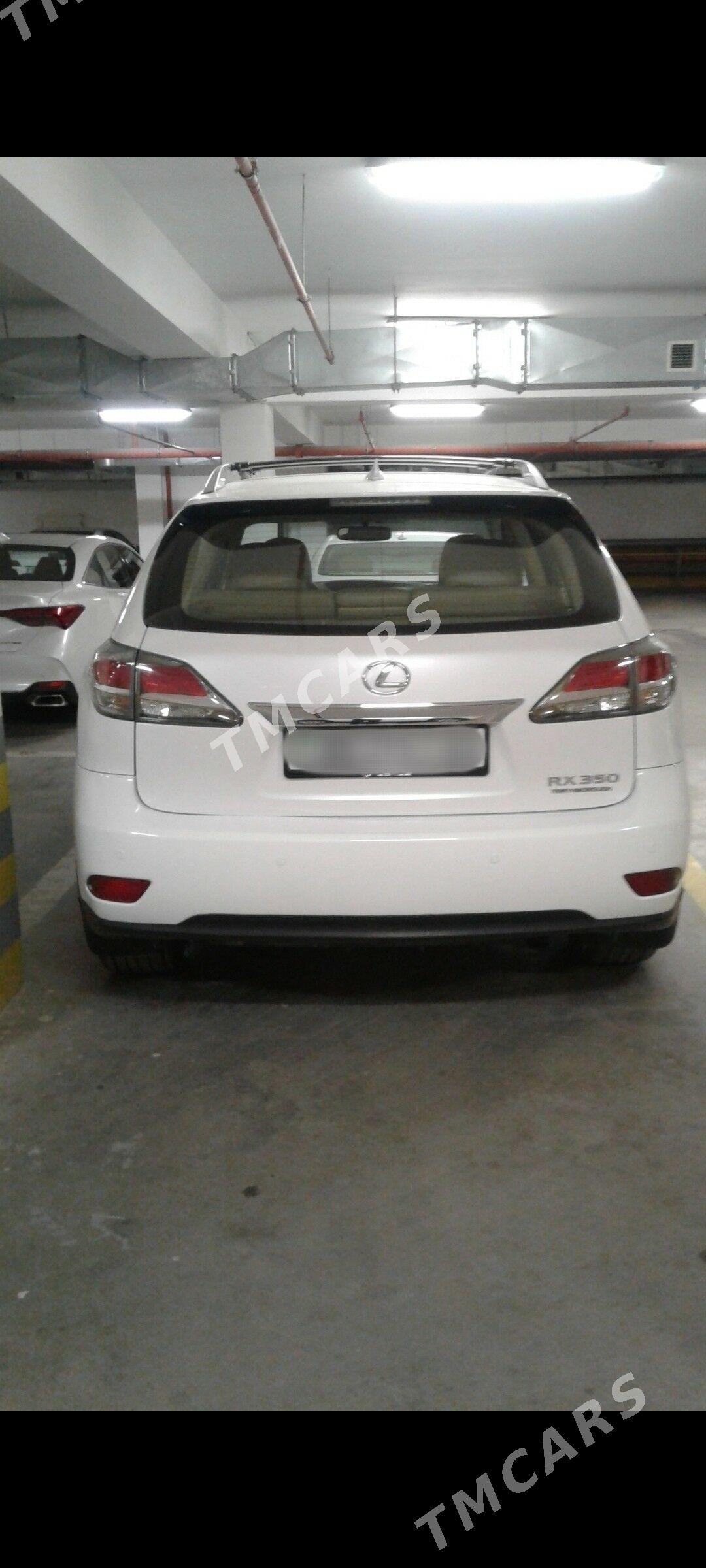 Lexus RX 350 2014 - 439 000 TMT - Ашхабад - img 3