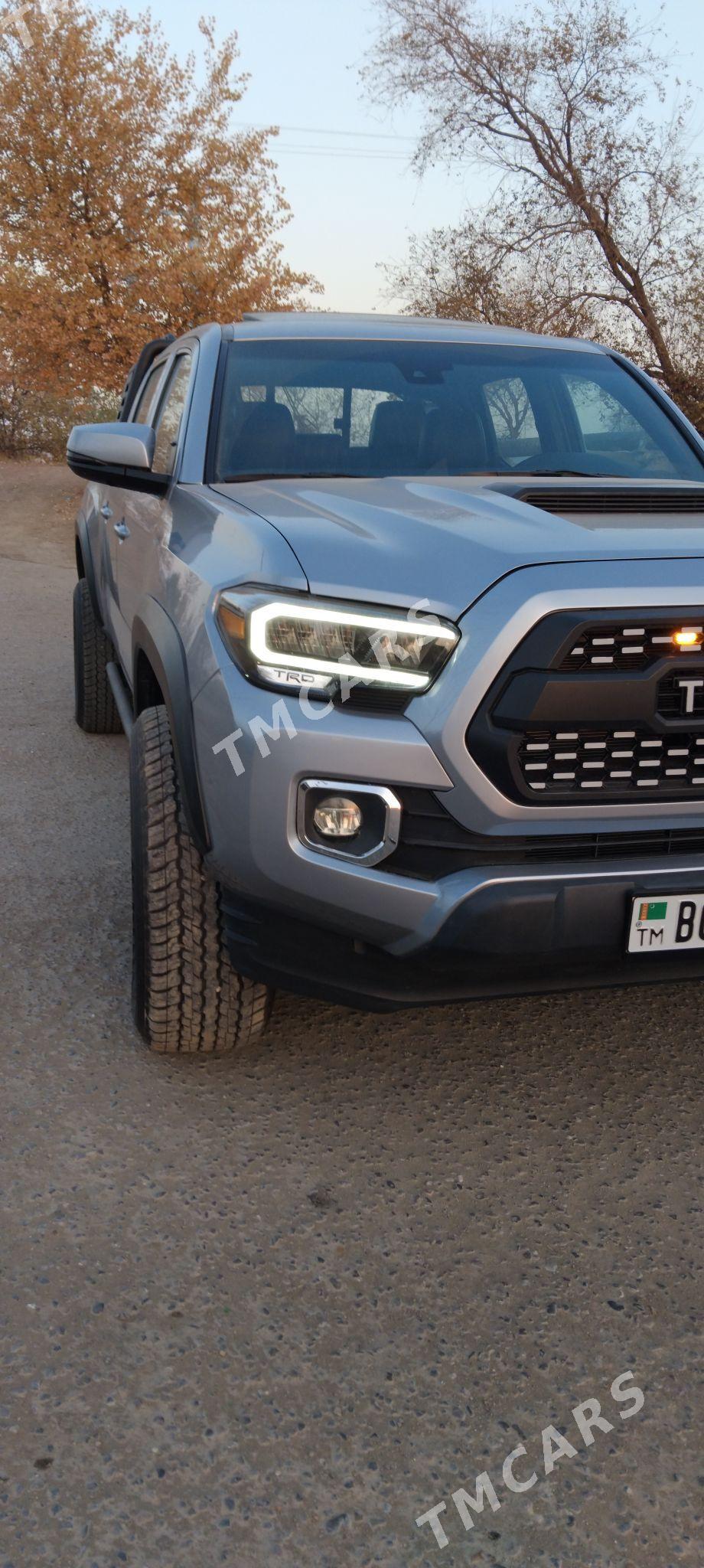 Toyota Tacoma 2023 - 550 000 TMT - Дашогуз - img 4