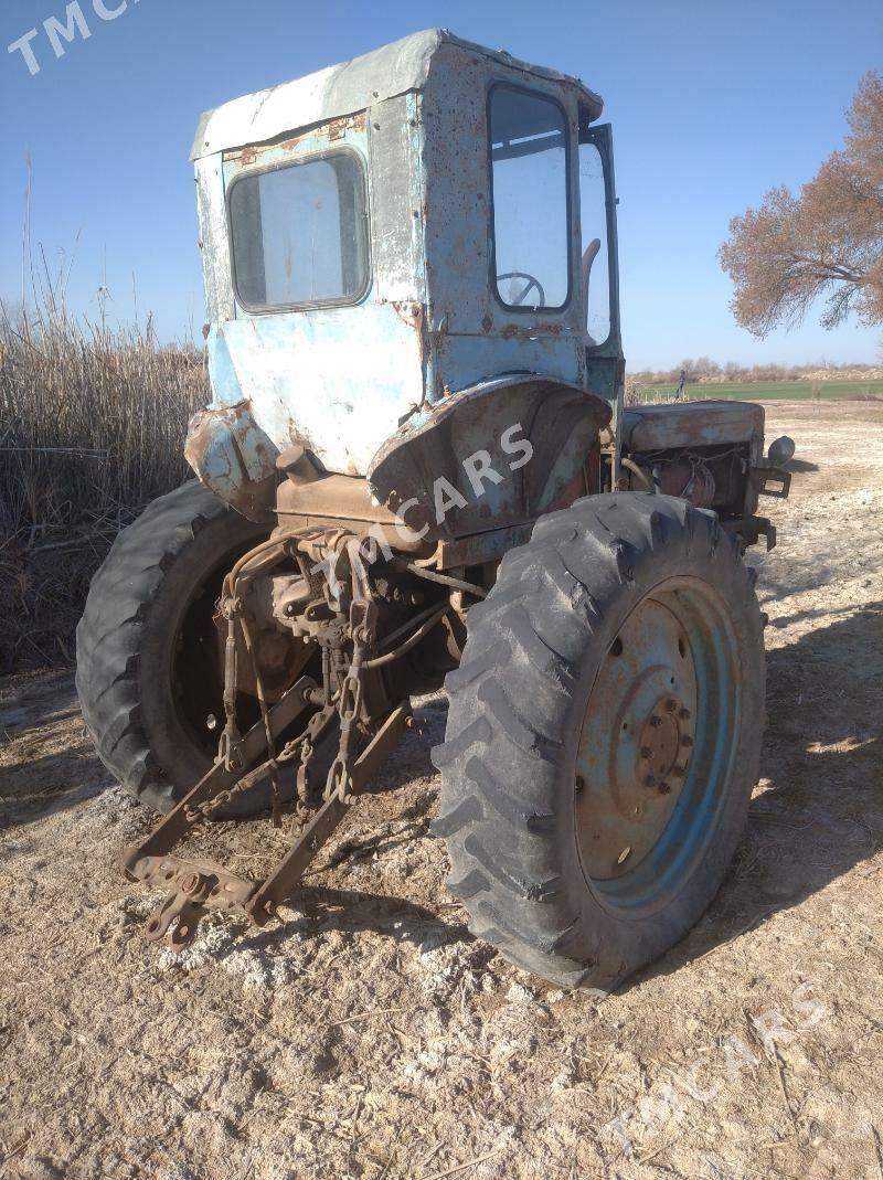 MTZ T-28 1981 - 12 000 TMT - Köneürgenç - img 2