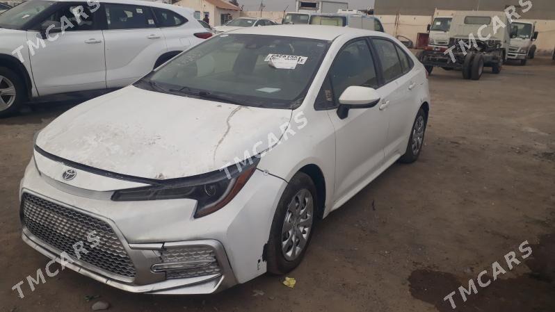 Toyota Corolla 2019 - 210 000 TMT - Mary - img 6