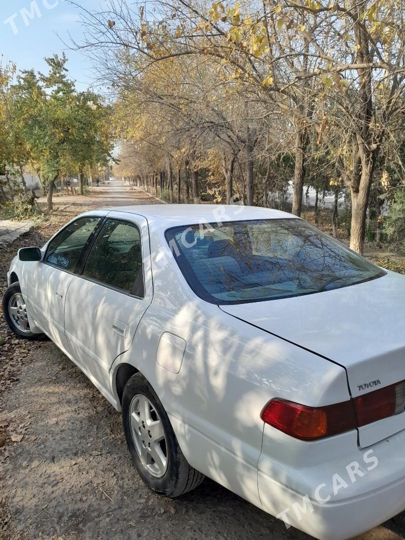 Toyota Camry 2001 - 100 000 TMT - Теджен - img 3