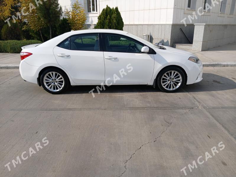 Toyota Corolla 2014 - 165 000 TMT - ул. Туркменбаши шаёлы (Ленина) - img 3